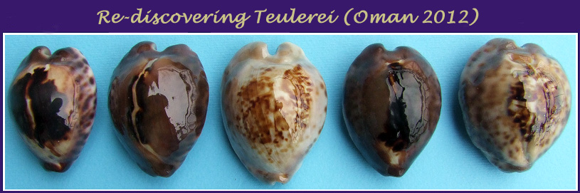 Teulerei